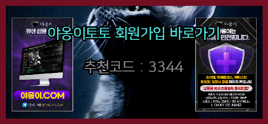 야옹이주소.png