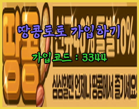 땅콩토토.png